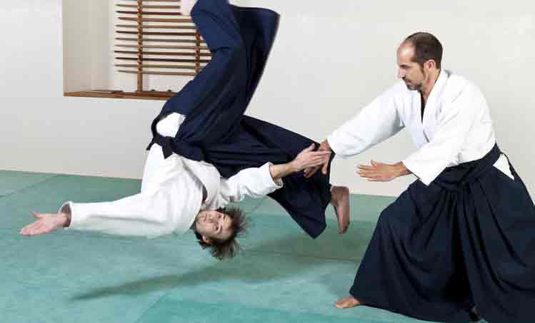 Aikido Throw