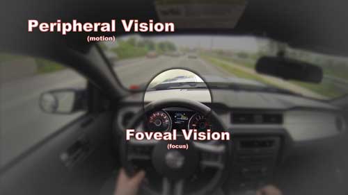 Peripheral Visual Field