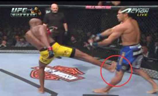 UFC Knee Kick