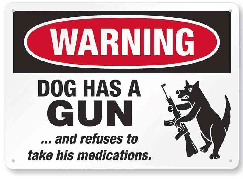 Warning dog has a gun