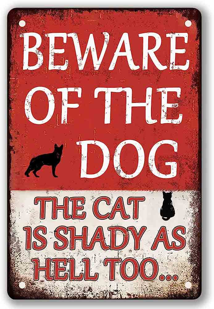 Beware of dog and shady cat