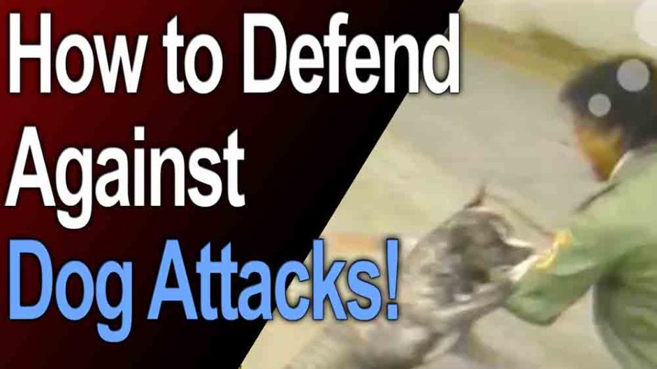 How to defend against a dog attack