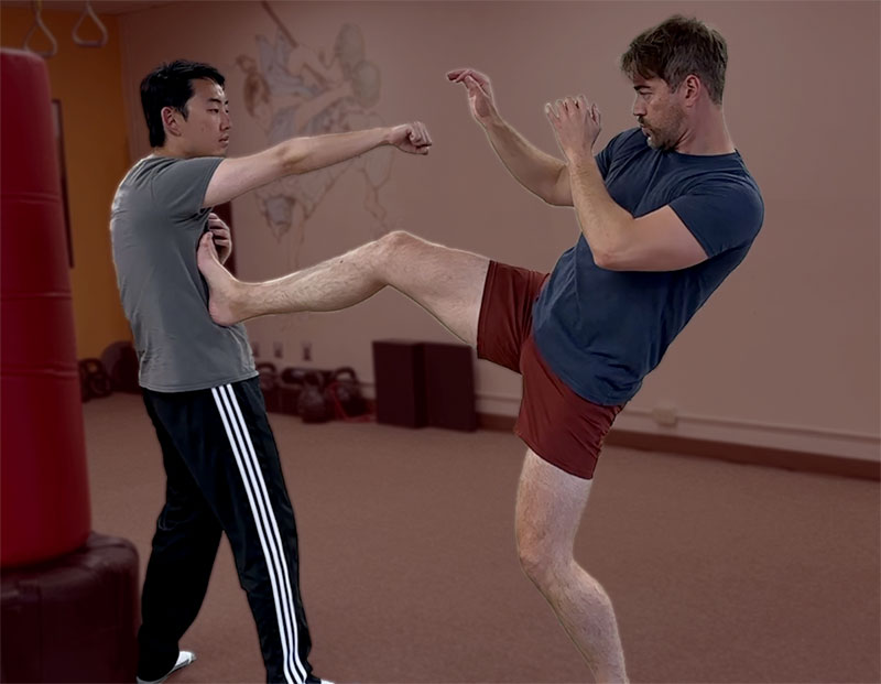 Front Thrust Kick Front Thrust Kick