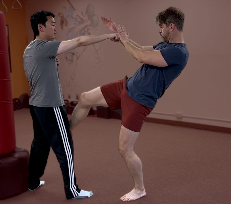 Rear Leg Snap Front Kick to Testicles Rear Leg Snap Front Kick to Testicles