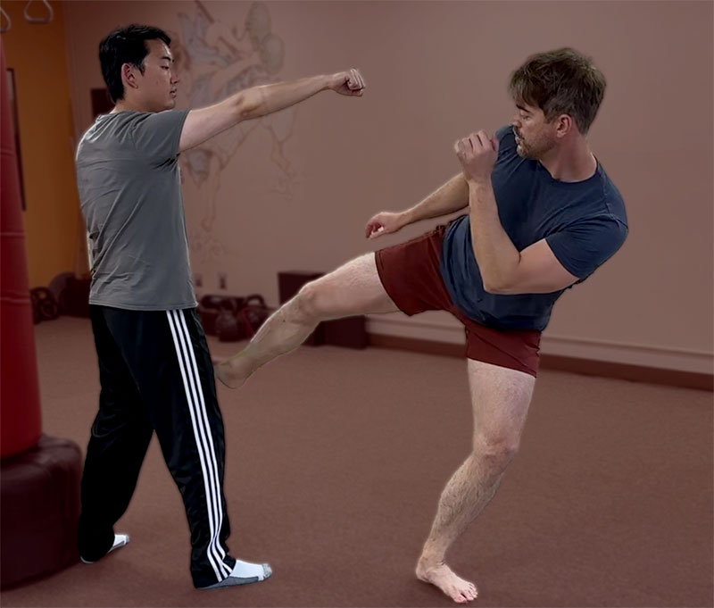 Lead Leg Pendulum Roundhouse to Testicles Lead Leg Pendulum Roundhouse to Testicles