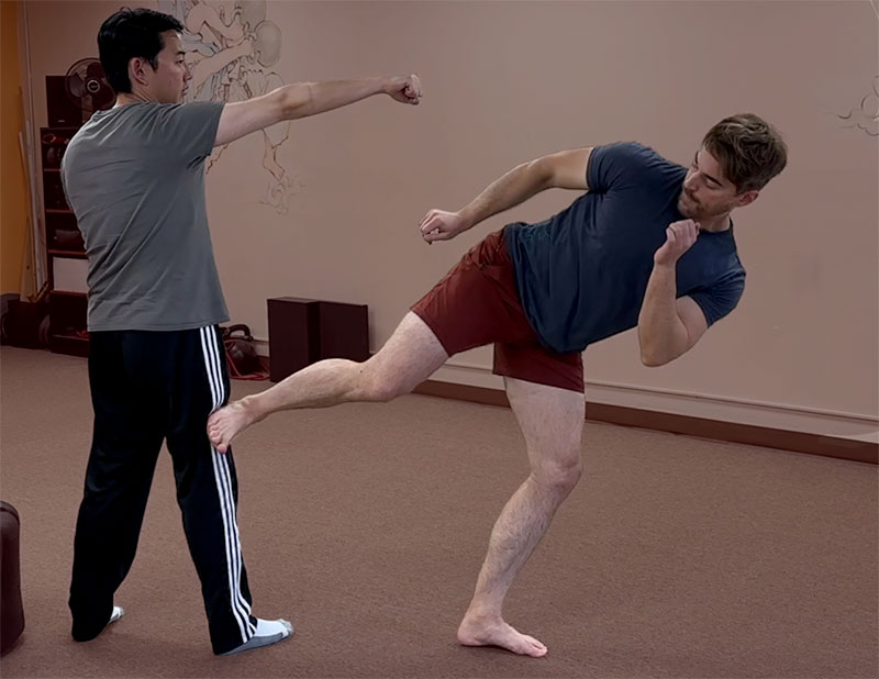 Pendulum Side Kick to the Knee Pendulum Side Kick to the Knee